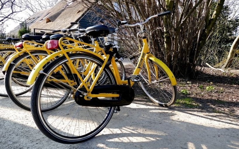 Den Haag Fahrrad Mieten Fahrradhelmeked